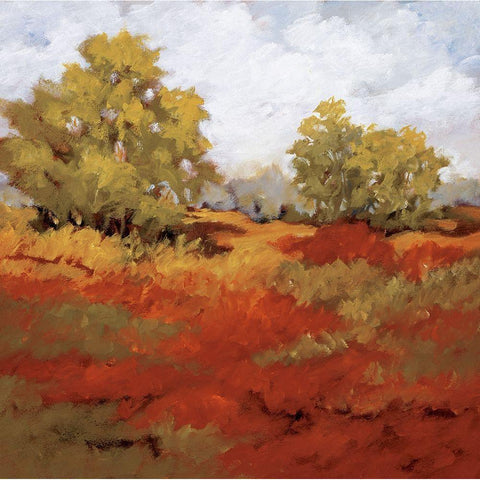 Scarlet Fields I Black Modern Wood Framed Art Print with Double Matting by Baynes, Maija
