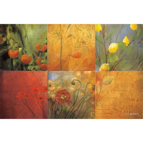 Citrus Garden Black Modern Wood Framed Art Print with Double Matting by Li-Leger, Don