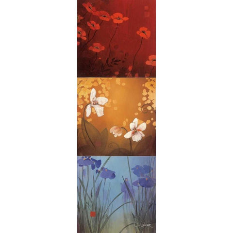 Aura Black Modern Wood Framed Art Print with Double Matting by Li-Leger, Don