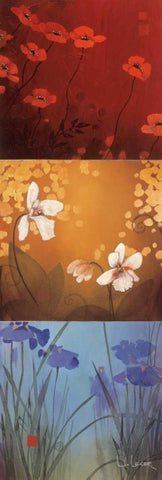 Aura White Modern Wood Framed Art Print with Double Matting by Li-Leger, Don