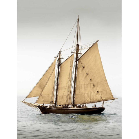 Mystic Journey II White Modern Wood Framed Art Print by LeBlanc, Frederick J.