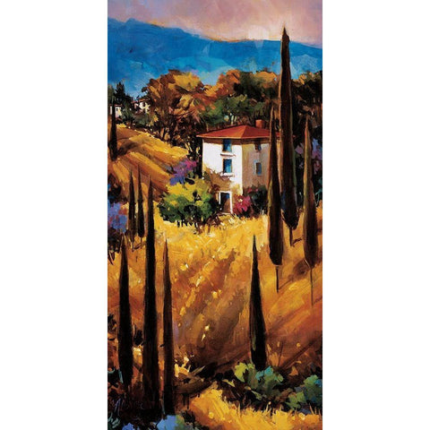 Hills Of Tuscany Black Modern Wood Framed Art Print by OToole, Nancy