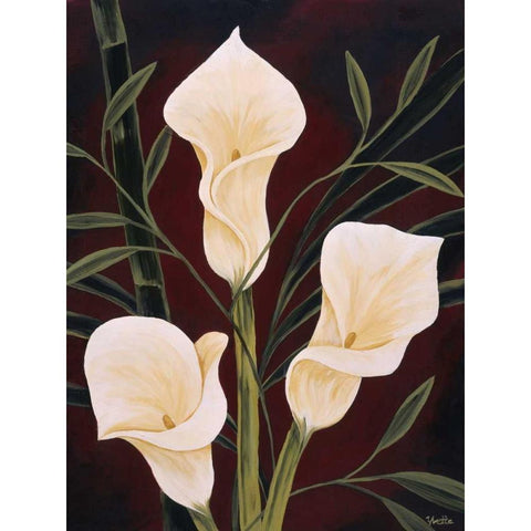 Botanical Elegance II Black Modern Wood Framed Art Print with Double Matting by St. Amant, Yvette