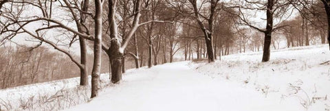 First Snow I Black Ornate Wood Framed Art Print with Double Matting by Sleeper, Mike