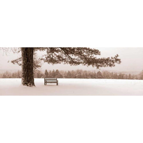 First Snow II Gold Ornate Wood Framed Art Print with Double Matting by Sleeper, Mike
