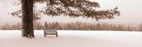 First Snow II White Modern Wood Framed Art Print with Double Matting by Sleeper, Mike