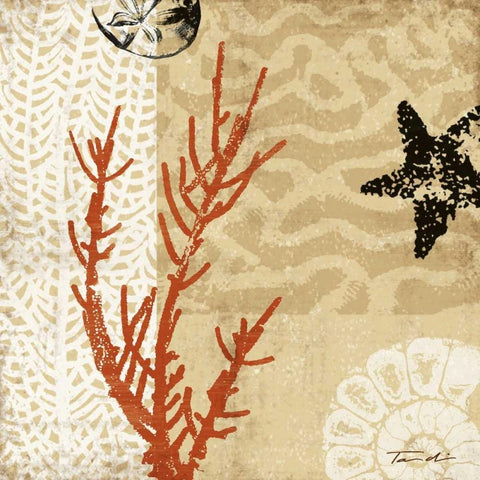 Coral Impressions I White Modern Wood Framed Art Print with Double Matting by Venter, Tandi