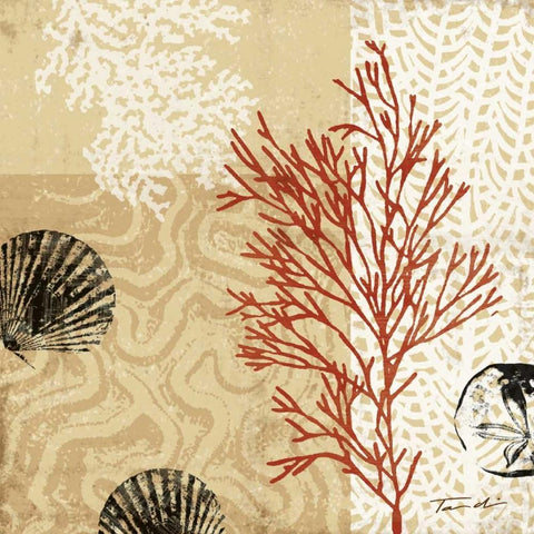 Coral Impressions II Black Ornate Wood Framed Art Print with Double Matting by Venter, Tandi