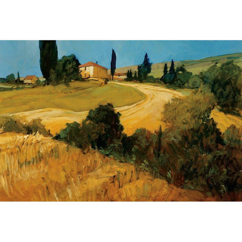 Bella Toscana Black Modern Wood Framed Art Print by Craig, Philip