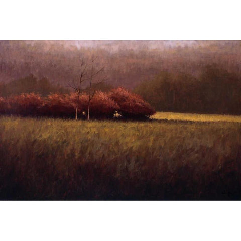Young Maples White Modern Wood Framed Art Print by Winegar, Simon
