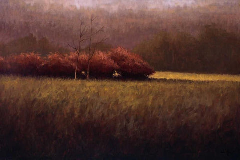 Young Maples White Modern Wood Framed Art Print with Double Matting by Winegar, Simon