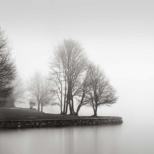 Image Only