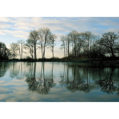 Frozen Reflection Gold Ornate Wood Framed Art Print with Double Matting by Harris, Derek