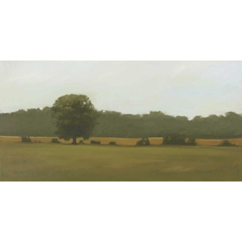 Resting Place White Modern Wood Framed Art Print by Lightell, Megan