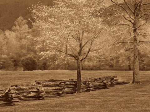 Smokies Fence Black Ornate Wood Framed Art Print with Double Matting by Caro, Wendy