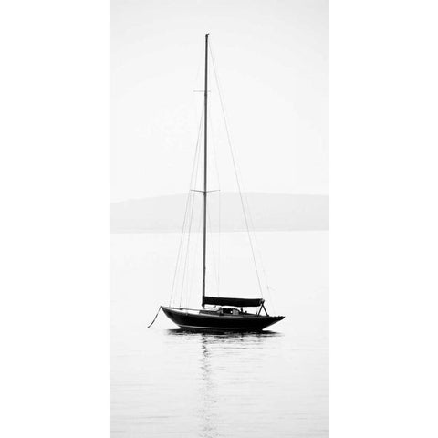 Still Waters I White Modern Wood Framed Art Print by Maihara/Watt, Jeff/Boyce