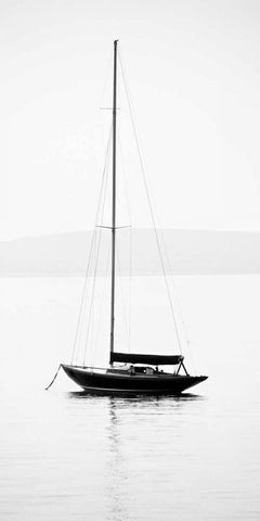 Still Waters I Black Ornate Wood Framed Art Print with Double Matting by Maihara/Watt, Jeff/Boyce