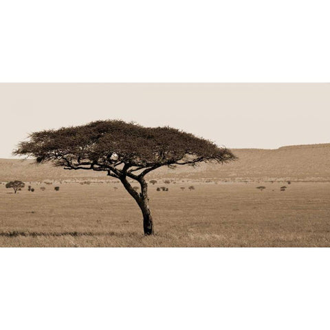 Serengeti Horizons I White Modern Wood Framed Art Print by Maihara/Watt, Jeff/Boyce