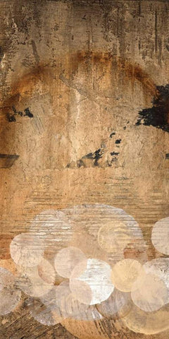 Pearl Essence III Black Ornate Wood Framed Art Print with Double Matting by Li-Leger, Noah