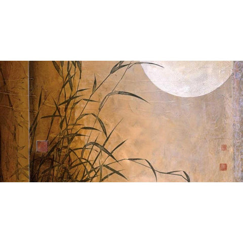 Lakeside Moonrise Black Modern Wood Framed Art Print with Double Matting by Li-Leger, Don