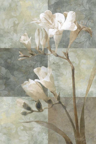 Memento II White Modern Wood Framed Art Print with Double Matting by Mallett, Keith