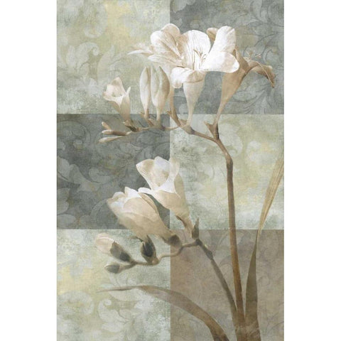 Memento II White Modern Wood Framed Art Print by Mallett, Keith