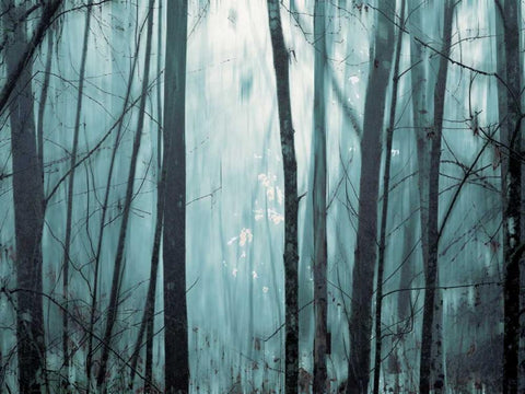 Spring Mist I White Modern Wood Framed Art Print with Double Matting by Pelkey, Marvin
