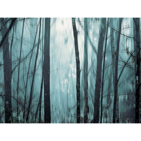 Spring Mist I Black Modern Wood Framed Art Print with Double Matting by Pelkey, Marvin