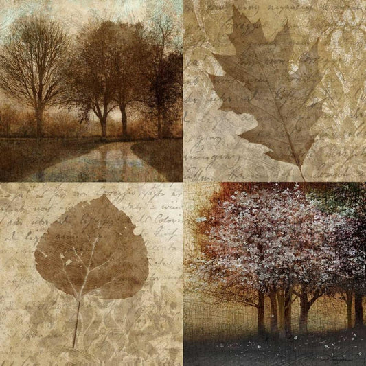 Image Only