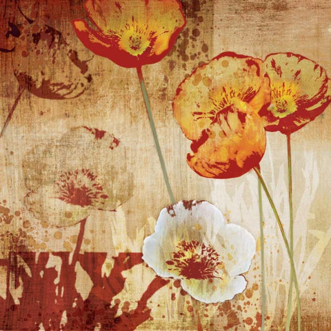 Poppy Heat I White Modern Wood Framed Art Print by Venter, Tandi