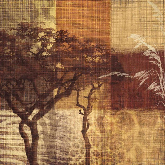 Image Only