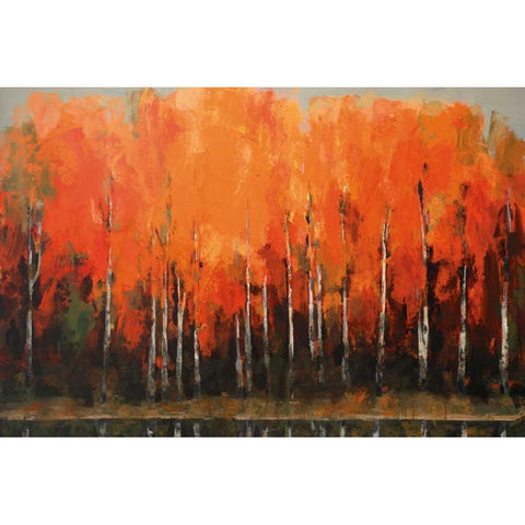 Birch Shoreline Black Modern Wood Framed Art Print by Colbert , Peter