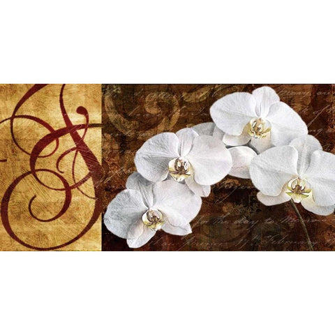 Moonlit Orchids White Modern Wood Framed Art Print by Mallett, Keith