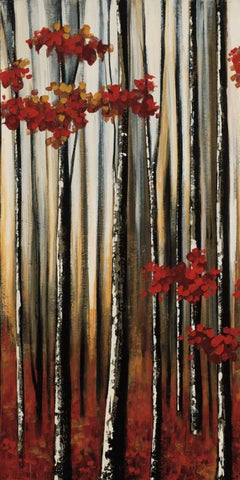 Beauty Within I White Modern Wood Framed Art Print with Double Matting by Soler , Oscar