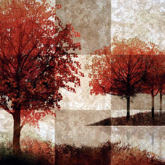 Image Only