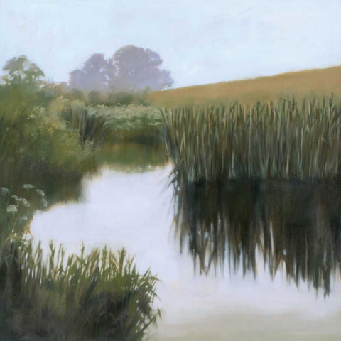 Morning Creekside White Modern Wood Framed Art Print by Lightell, Megan