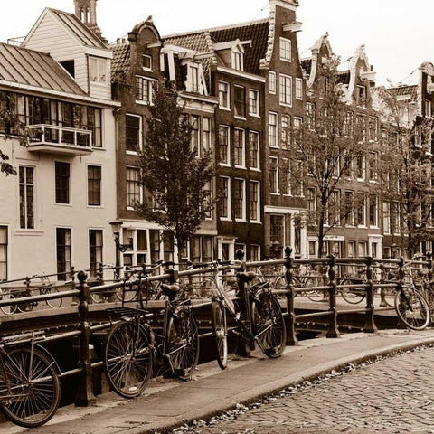 Autumn in Amsterdam I Black Ornate Wood Framed Art Print with Double Matting by Maihara, Jeff