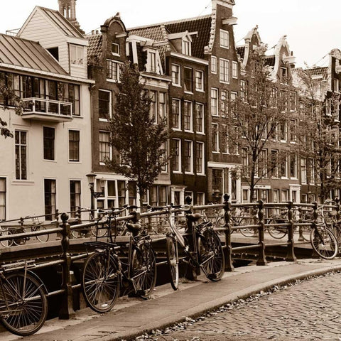 Autumn in Amsterdam I Black Modern Wood Framed Art Print by Maihara, Jeff