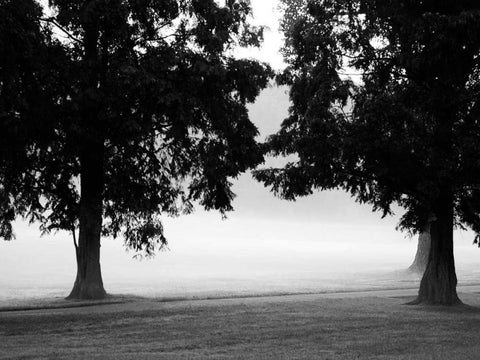 Fog in the Park II White Modern Wood Framed Art Print with Double Matting by Bydlo, Gary