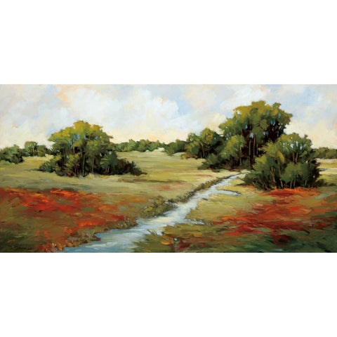 Kissimmee Grasslands Black Modern Wood Framed Art Print with Double Matting by Baynes, Maija