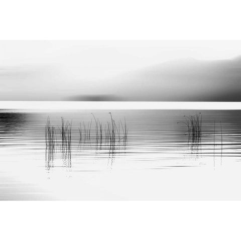 Tranquil Dawn White Modern Wood Framed Art Print by Pelkey, Marvin