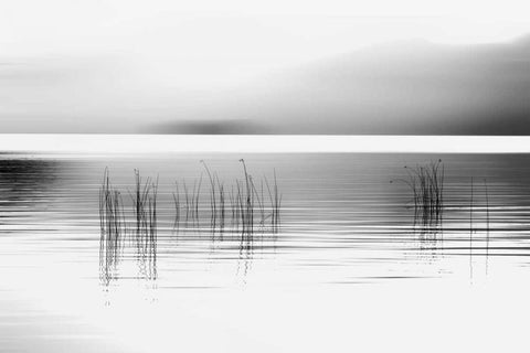 Tranquil Dawn White Modern Wood Framed Art Print with Double Matting by Pelkey, Marvin