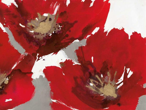 Red Poppy Forrest II  White Modern Wood Framed Art Print with Double Matting by Barnes, Natasha