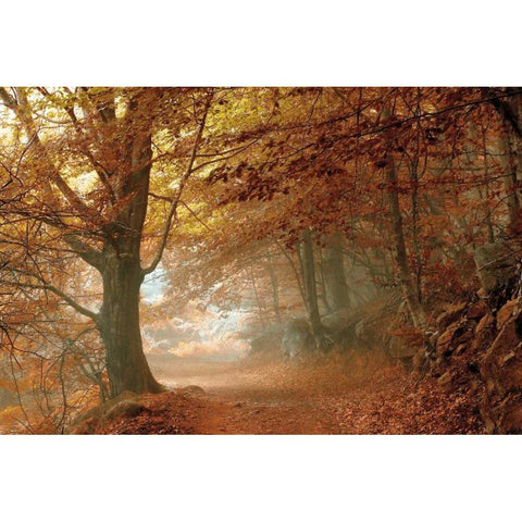 Autumn Dream White Modern Wood Framed Art Print by Vila , Toni