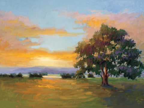 A Sunset Salute Black Ornate Wood Framed Art Print with Double Matting by McMurry, Vicki