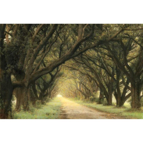 Evergreen Alley Gold Ornate Wood Framed Art Print with Double Matting by Guion, William