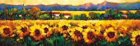 Sweeping Fields of Sunflowers White Modern Wood Framed Art Print with Double Matting by OToole, Nancy