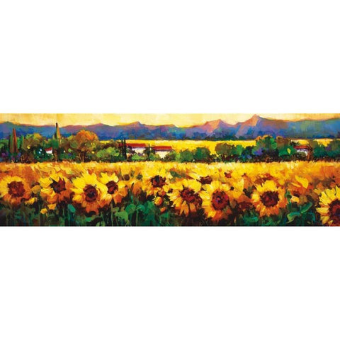 Sweeping Fields of Sunflowers White Modern Wood Framed Art Print by OToole, Nancy