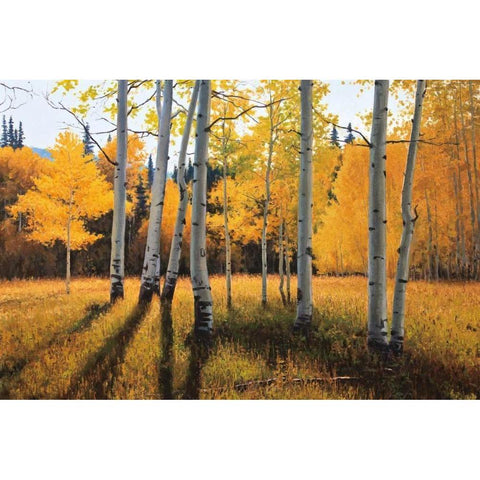 Gentle Rise White Modern Wood Framed Art Print by Aagaard, Douglas