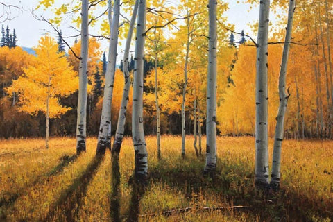 Gentle Rise White Modern Wood Framed Art Print with Double Matting by Aagaard, Douglas